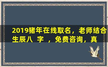 2019猪年在线取名，老师结合生辰八  字  ，免费咨询，真的靠谱吗